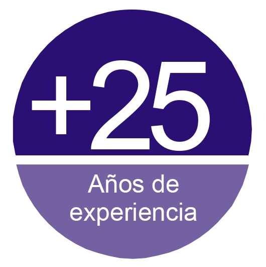 Sasegur, 25 años de experiencia